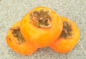 persimmons