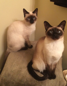 waiting for vitamins