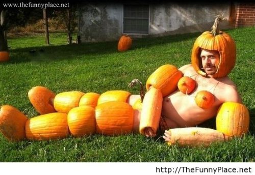 pumpkin-costume-Halloween-Costume-meme-lol-funny-pictures