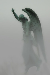 FoggyAngel