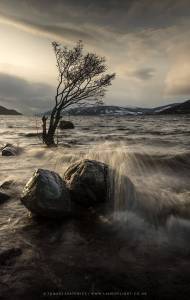 1487989_754883947949876_5465576144450632183_o