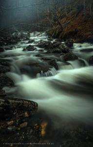 12191309_754883197949951_5746186158921806935_o