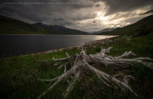 12185545_754877304617207_1573660940631991734_o