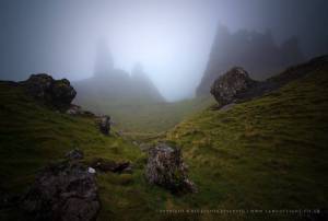 905730_754877207950550_4232731959473280281_o