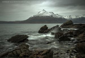 12188200_754881284616809_823509322924233026_o