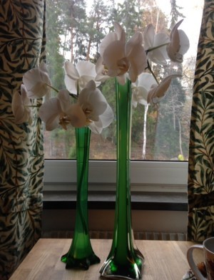 Och på tal om vackert. Jag tycker orkidéer i kruka kan vara så trista. Jag begick helgerånet att klippa av stänglarna. Vad tycks? Gardinerna är William Morris.