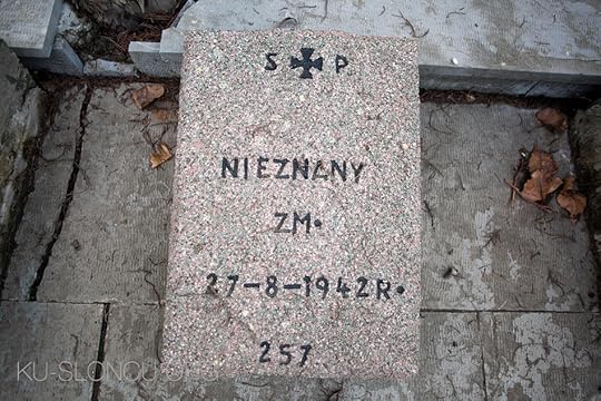 cmentarz-anzali-04