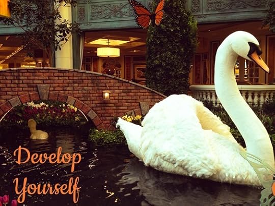 self-management, learning, learn, develop, training