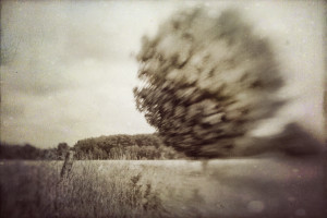 wind