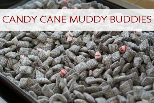 Candy Cane Muddy Buddies {101 Days of Christmas at lifeyourway.net}