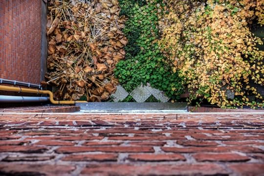 20151030_dagboekje_DSF8238-2