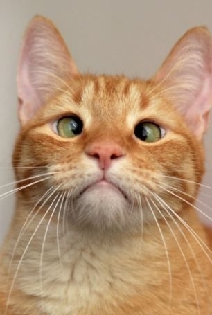  photo 74e4f6a3-80be-43e4-9f63-290c3955c887_zpsi4pu2e27.jpg