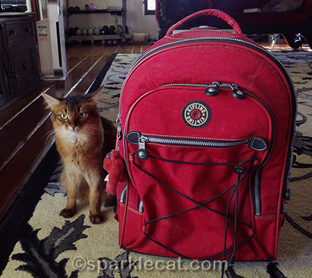 I thought that leaving without me was Not Allowed