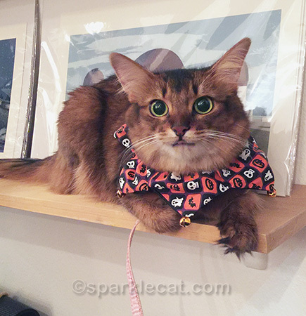 Sassy is my middle name!