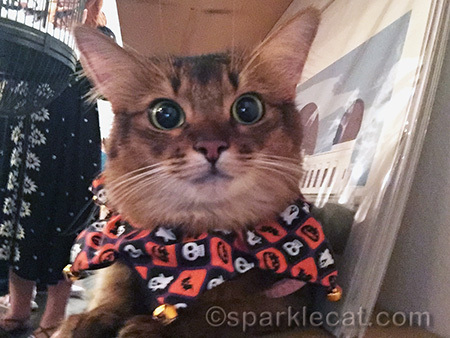 I look surprised!