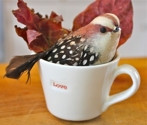 nature and love
