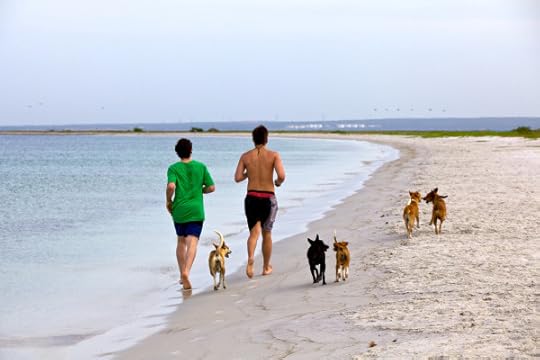 Photo: Konstantin Zamkov