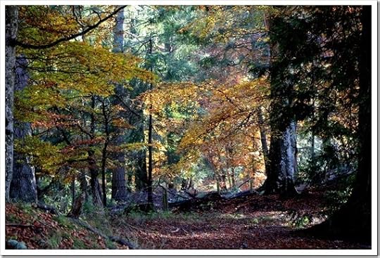 2 Nov 7 5184x3456-001