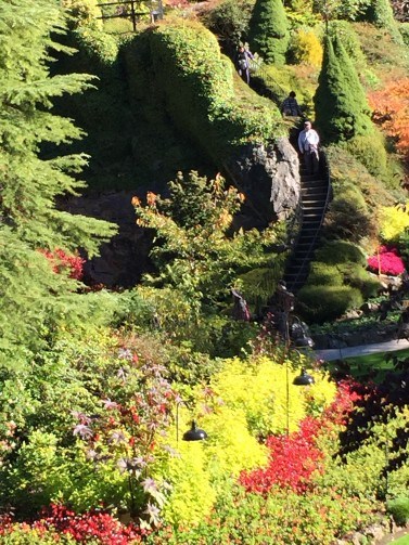 a hill inside the quarry