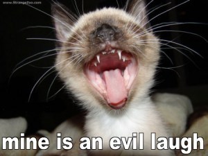 lolcatsdotcomrto85k59fi4iryql