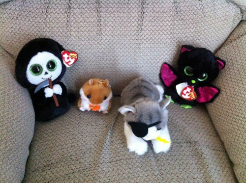 Left to right: Reaper of Pestilence, Hamster of Famine, Cat of Death, and the Bat of War.