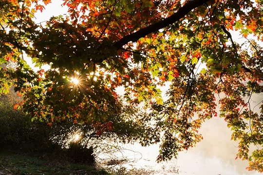 morning sun