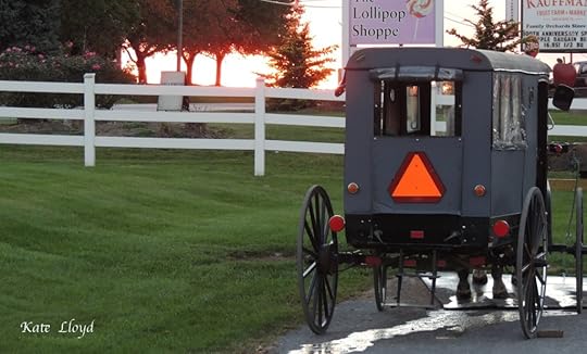 11-1-15buggySunset