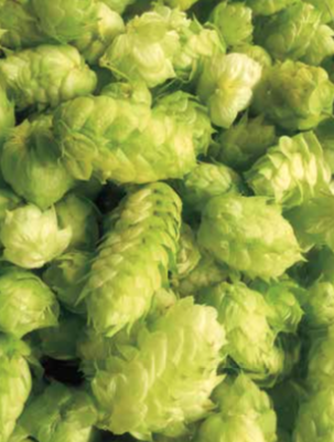 GreenHops