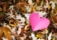 When love goes bad – healing your soul.