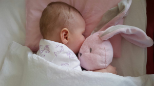 The importance of having a bunny friend