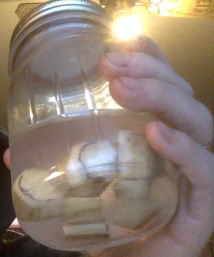 Bone soaking