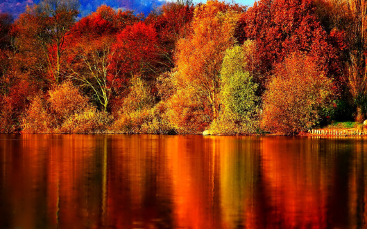 Vibrant 1