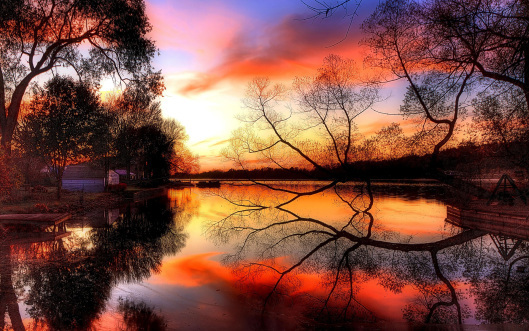 Vibrant 3