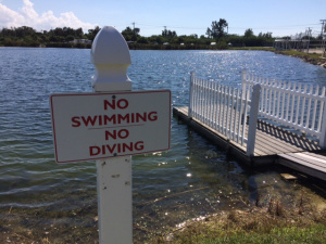NoSwimSign