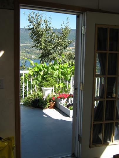 view through door