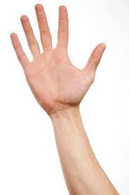 hand