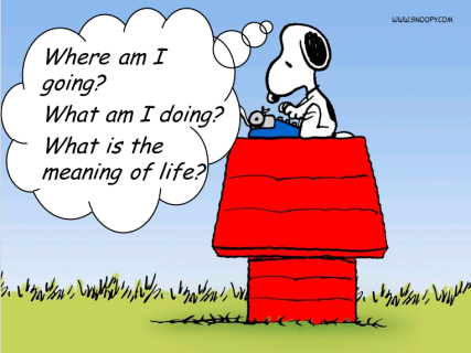 meaning-of-life_peanuts-cartoon
