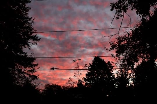 Evil squirrel against a colorful sunrise.