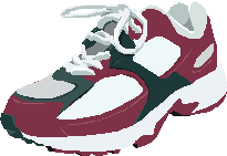 Running Shoe