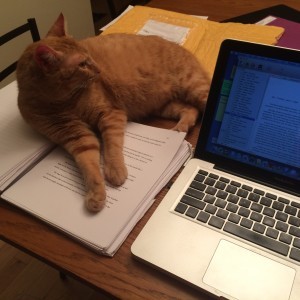 Mindy's cat