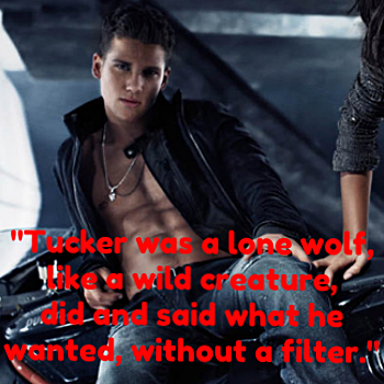 photo 92d8d7d2-29e9-41fc-bceb-066894e1b208_zpsszydj5xr.png