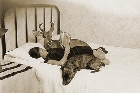 Old photograph, provenance unknown