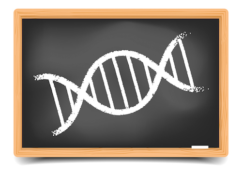 BB_DNA.jpg
