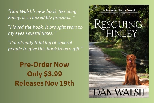 Finley Pre-order Ad