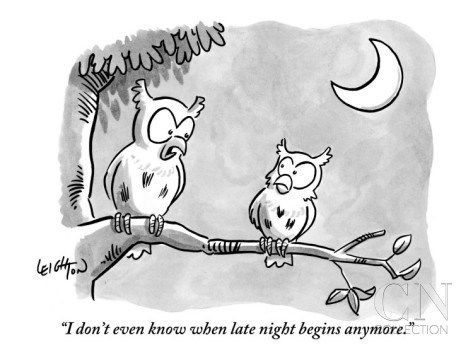 any_more_owls