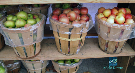 fallbushelapples15signed