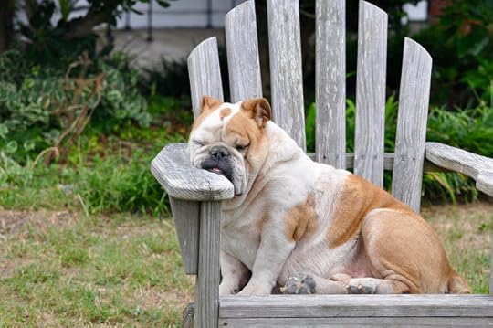 You don't want to be like this! Top Tips for Catching an In-Flight Nap