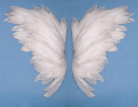 Talking to your Angel with Our Psychic Rosemary
