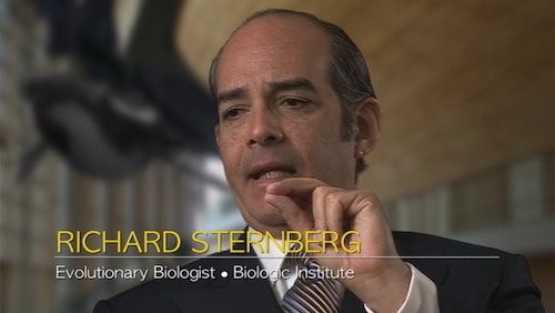 Interview-RichardSternberg.jpg