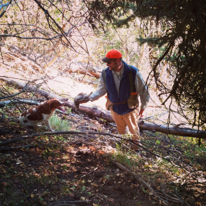 Without Misty, I would not have found this grouse. 